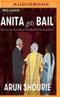ANITA GETS BAIL - Book