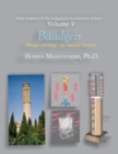 Baadgeirs : (Wind-catching/ Air-suction Towers) - Book