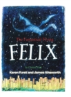 The Fantastical Flying Felix : In Central Park - Book