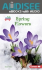 Spring Flowers - eBook