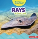 Rays : A First Look - Book