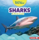 Sharks : A First Look - Book