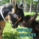 Sweet Bleats - Book