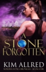 A Stone Forgotten : Time Travel Adventure Romance - Book
