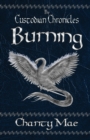 The Custodian Chronicles Burning - Book