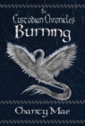 The Custodian Chronicles : Burning - Book