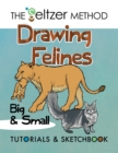 Drawing Felines : Big and Small - Book