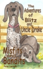 Misfits and Bandits - Book