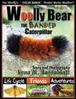 Woolly Bear the Banded Caterpillar : Life Cycle, Friends and Adventures - Book