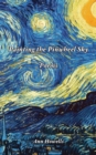 Painting The Pinwheel Sky - Book