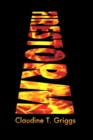 Firestorm - Book