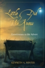 Little Did We Know : Eyewitnesses to the Advent - Book