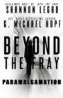 Beyond The Fray : Paramalgamation - Book