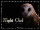Night Owl : A Book for Nocturnal Toddlers - Book