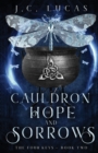 Cauldron of Hope and Sorrows : A Young Adult Epic Fae Fantasy - Book