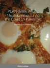 PLAN-demic Meals : Meal planning during the Covid 19 pandemic: Pandemic Press Publishing - Book