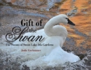 Gift of the Swan : The Swans of Swan Lake Iris Gardens - Book