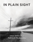 In Plain Sight : Faith Is In The Everyday - Book