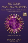 Big Souls, Big Promises : Reveal Hidden Personal and Family Dynamics to Unleash Your Purpose - Book