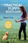 The Practical Puppy Bootcamp : Week Two - Book