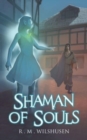 Shaman of Souls : Scars of the Necromancer Book One - Book