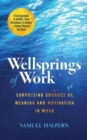 Wellsprings of Work : Surprising Sources of Meaning and Motivation in Work - Book