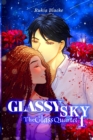 Glassy Sky - Book