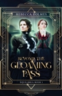Beyond the Gloaming Pass - Book