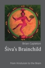 Siva's Brainchild : From Hinduism to the Brain - Book