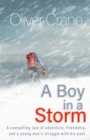 A Boy in a Storm - Book