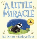 A Little Miracle - Book