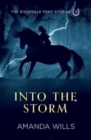 Into the Storm - Book