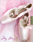 Lock-Up Diary: Ballet Shoes - Book