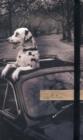 Dalmation in a Car Small Journal with Elastic - Book