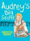 Audrey's Big Secret - eBook