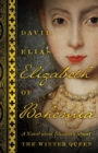 Elizabeth Of Bohemia : A Novel about Elizabeth Stuart, the Winter Queen - Book
