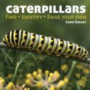 Caterpillars : Find - Identify - Raise Your Own - Book