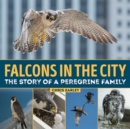 Falcons in the City: The Story of a Peregine Family - Book