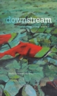 downstream : reimagining water - Book