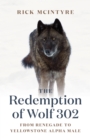 The Redemption of Wolf 302 : From Renegade to Yellowstone Alpha Male - Book