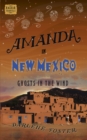 Amanda in New Mexico : Ghosts in the Wind - Book