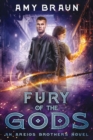 Fury of the Gods : An Areios Brothers Novel - Book