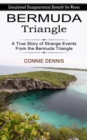Bermuda Triangle : Unexplained Disappearances Beneath the Waves (A True Story of Strange Events From the Bermuda Triangle) - Book