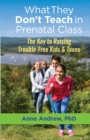 What They Don't Teach in Prenatal Class : The Key to Raising Trouble-Free Kids & Teens - Book