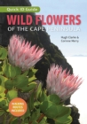 Wild Flowers of the Cape Peninsula - Quick ID Guide - eBook