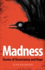 Madness - eBook