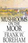 Mushrooms on the Moor - eBook