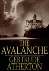 The Avalanche - eBook