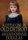 A Little Girl in Old Detroit - eBook