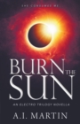 Burn the Sun - Book